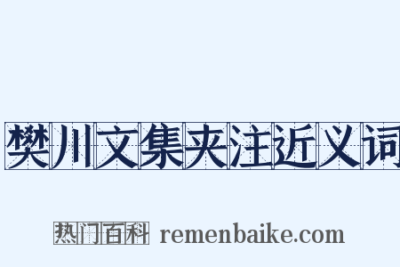 樊川文集夹注近义词是什么意思的图片